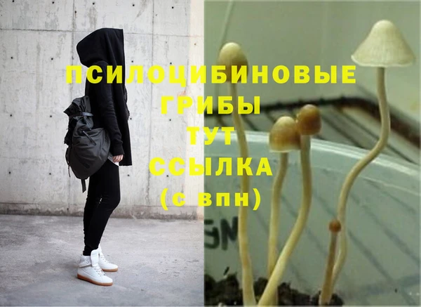 ГАЛЛЮЦИНОГЕННЫЕ ГРИБЫ Армянск