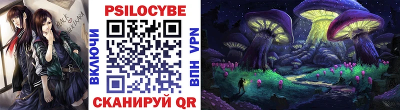даркнет сайт Юрьев-Польский Псилоцибиновые грибы Psilocybe